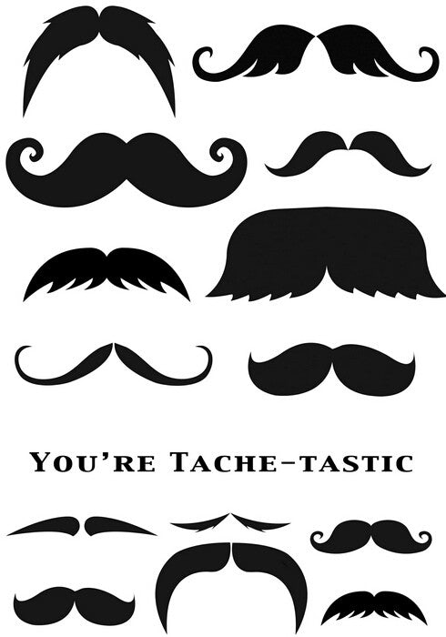 Marion Emberson Designs - Tache - Tastic - sugar and spice crafts