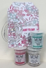 WOW Clear Ultra Slow Drying Ink Pad - sugar and spice crafts - 2